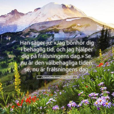 Picture 05 - 2 Korinthierbrevet 6:2 SV1917 - Han säger ju: »Jag bönhör dig i behaglig tid, - Bible Verse Picture