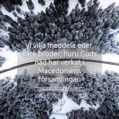 Picture 05 - 2 Korinthierbrevet 8:1 SV1917 - Vi vilja meddela eder, käre bröder, huru Guds - Bible Verse Picture
