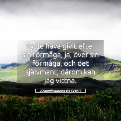 Picture 05 - 2 Korinthierbrevet 8:3 SV1917 - Ty de hava givit efter sin förmåga, ja, över - Bible Verse Picture