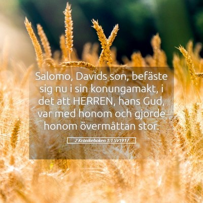 Picture 05 - 2 Krönikeboken 1:1 SV1917 - Salomo, Davids son, befäste sig nu i sin - Bible Verse Picture