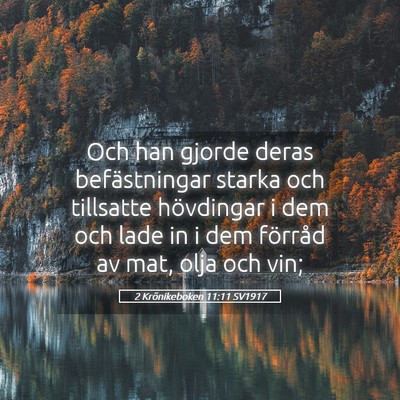 Picture 05 - 2 Krönikeboken 11:11 SV1917 - Och han gjorde deras befästningar starka och - Bible Verse Picture