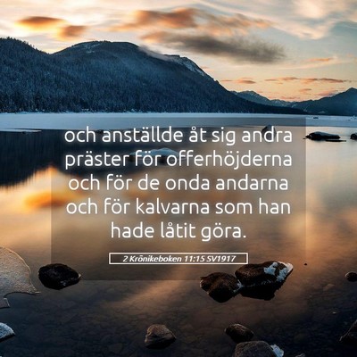 Picture 05 - 2 Krönikeboken 11:15 SV1917 - och anställde åt sig andra präster för - Bible Verse Picture