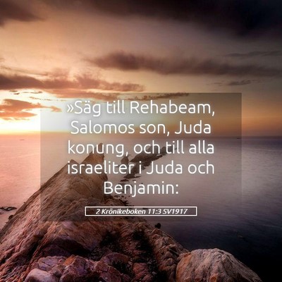 Picture 05 - 2 Krönikeboken 11:3 SV1917 - »Säg till Rehabeam, Salomos son, Juda konung, - Bible Verse Picture