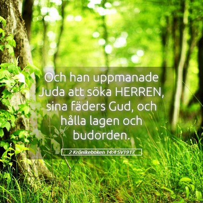 Picture 05 - 2 Krönikeboken 14:4 SV1917 - Och han uppmanade Juda att söka HERREN, sina - Bible Verse Picture