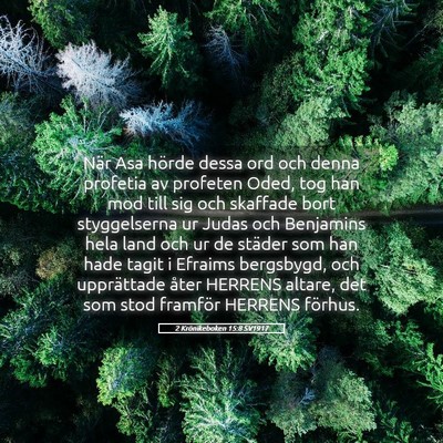 Picture 05 - 2 Krönikeboken 15:8 SV1917 - När Asa hörde dessa ord och denna profetia av - Bible Verse Picture