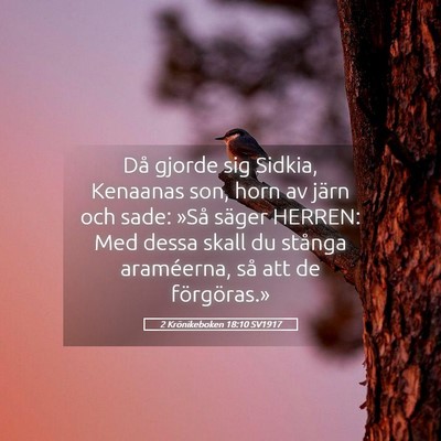 Picture 05 - 2 Krönikeboken 18:10 SV1917 - Då gjorde sig Sidkia, Kenaanas son, horn av - Bible Verse Picture