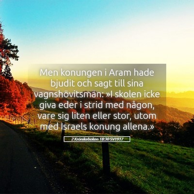 Picture 05 - 2 Krönikeboken 18:30 SV1917 - Men konungen i Aram hade bjudit och sagt till - Bible Verse Picture