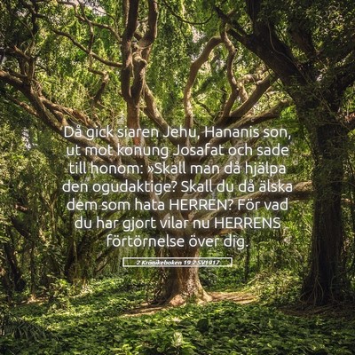 Picture 05 - 2 Krönikeboken 19:2 SV1917 - Då gick siaren Jehu, Hananis son, ut mot konung - Bible Verse Picture