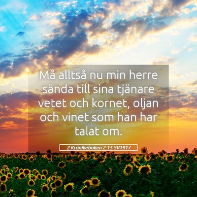 Picture 05 - 2 Krönikeboken 2:15 SV1917 - Må alltså nu min herre sända till sina - Bible Verse Picture