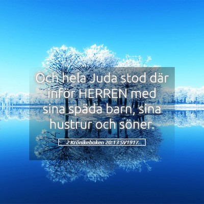 Picture 05 - 2 Krönikeboken 20:13 SV1917 - Och hela Juda stod där inför HERREN med sina - Bible Verse Picture