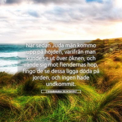 Picture 05 - 2 Krönikeboken 20:24 SV1917 - När sedan Juda män kommo upp på höjden, - Bible Verse Picture