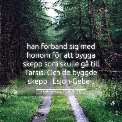 Picture 05 - 2 Krönikeboken 20:36 SV1917 - han förband sig med honom för att bygga skepp - Bible Verse Picture