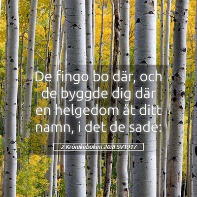 Picture 05 - 2 Krönikeboken 20:8 SV1917 - De fingo bo där, och de byggde dig där en - Bible Verse Picture