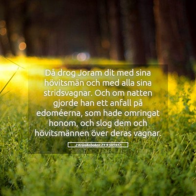 Picture 05 - 2 Krönikeboken 21:9 SV1917 - Då drog Joram dit med sina hövitsmän och med - Bible Verse Picture