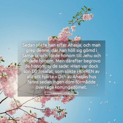 Picture 05 - 2 Krönikeboken 22:9 SV1917 - Sedan sökte han efter Ahasja; och man grep - Bible Verse Picture
