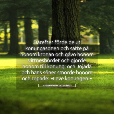 Picture 05 - 2 Krönikeboken 23:11 SV1917 - Därefter förde de ut konungasonen och satte på - Bible Verse Picture