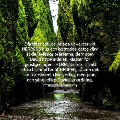 Picture 05 - 2 Krönikeboken 23:18 SV1917 - Därefter ställde Jojada ut vakter vid HERRENS - Bible Verse Picture