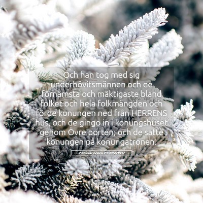 Picture 05 - 2 Krönikeboken 23:20 SV1917 - Och han tog med sig underhövitsmännen och de - Bible Verse Picture