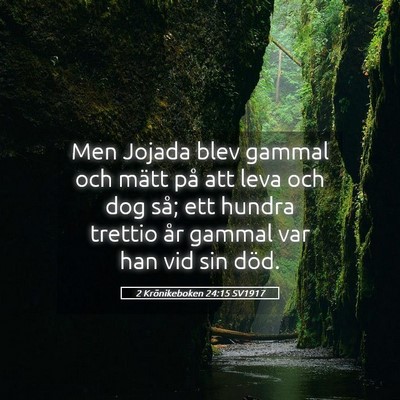 Picture 05 - 2 Krönikeboken 24:15 SV1917 - Men Jojada blev gammal och mätt på att leva och - Bible Verse Picture
