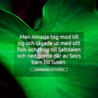 Picture 05 - 2 Krönikeboken 25:11 SV1917 - Men Amasja tog mod till sig och tågade ut med - Bible Verse Picture