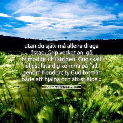 Picture 05 - 2 Krönikeboken 25:8 SV1917 - utan du själv må allena draga åstad. Grip - Bible Verse Picture