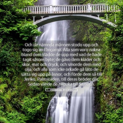 Picture 05 - 2 Krönikeboken 28:15 SV1917 - Och de nämnda männen stodo upp och togo sig an - Bible Verse Picture