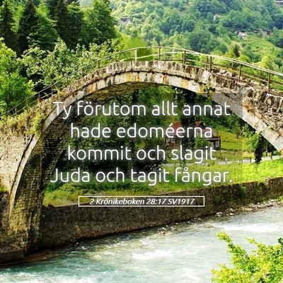 Picture 05 - 2 Krönikeboken 28:17 SV1917 - Ty förutom allt annat hade edoméerna kommit och - Bible Verse Picture