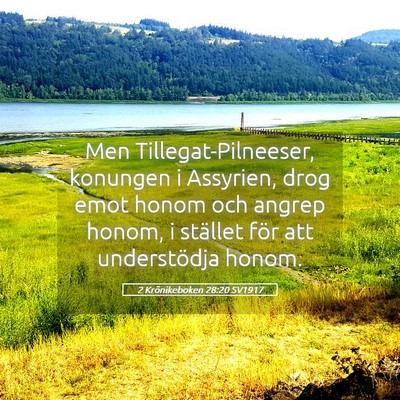 Picture 05 - 2 Krönikeboken 28:20 SV1917 - Men Tillegat-Pilneeser, konungen i Assyrien, drog - Bible Verse Picture
