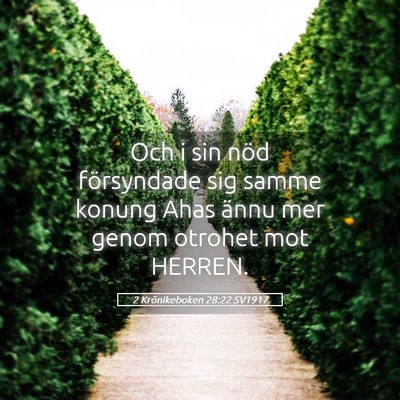 Picture 05 - 2 Krönikeboken 28:22 SV1917 - Och i sin nöd försyndade sig samme konung Ahas - Bible Verse Picture