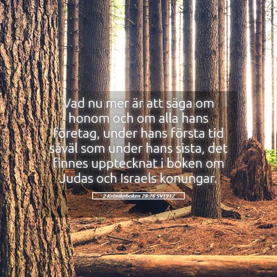 Picture 05 - 2 Krönikeboken 28:26 SV1917 - Vad nu mer är att säga om honom och om alla - Bible Verse Picture