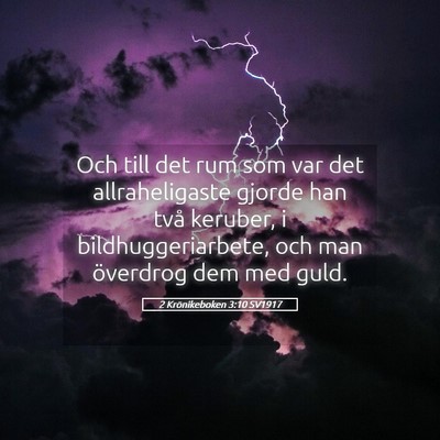 Picture 05 - 2 Krönikeboken 3:10 SV1917 - Och till det rum som var det allraheligaste - Bible Verse Picture