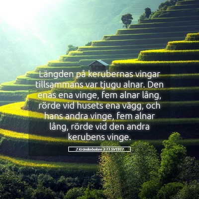 Picture 05 - 2 Krönikeboken 3:11 SV1917 - Längden på kerubernas vingar tillsammans var - Bible Verse Picture