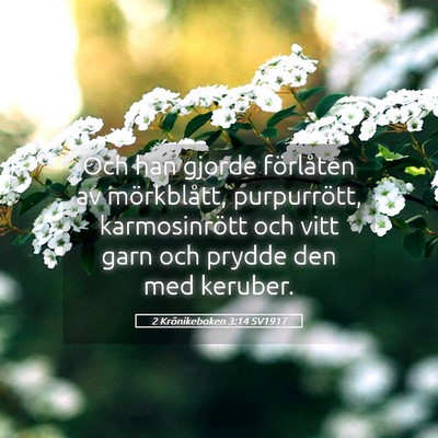 Picture 05 - 2 Krönikeboken 3:14 SV1917 - Och han gjorde förlåten av mörkblått, - Bible Verse Picture