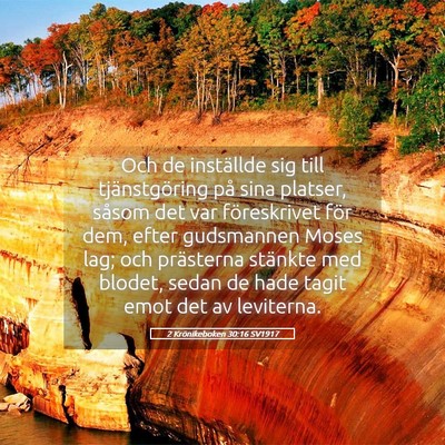 Picture 05 - 2 Krönikeboken 30:16 SV1917 - Och de inställde sig till tjänstgöring på - Bible Verse Picture