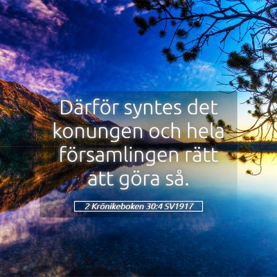 Picture 05 - 2 Krönikeboken 30:4 SV1917 - Därför syntes det konungen och hela - Bible Verse Picture