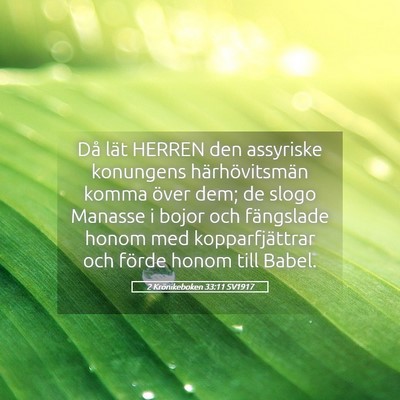 Picture 05 - 2 Krönikeboken 33:11 SV1917 - Då lät HERREN den assyriske konungens - Bible Verse Picture