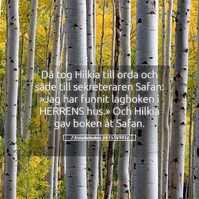 Picture 05 - 2 Krönikeboken 34:15 SV1917 - Då tog Hilkia till orda och sade till - Bible Verse Picture