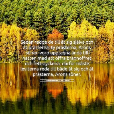 Picture 05 - 2 Krönikeboken 35:14 SV1917 - Sedan redde de till åt sig själva och åt - Bible Verse Picture
