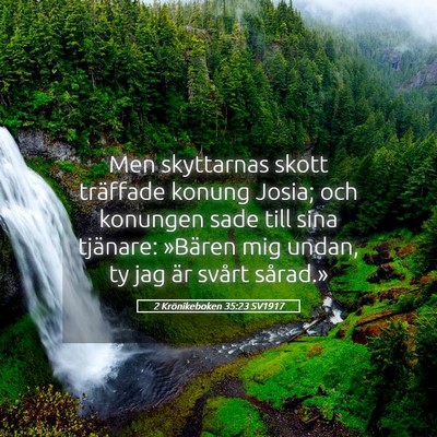 Picture 05 - 2 Krönikeboken 35:23 SV1917 - Men skyttarnas skott träffade konung Josia; och - Bible Verse Picture