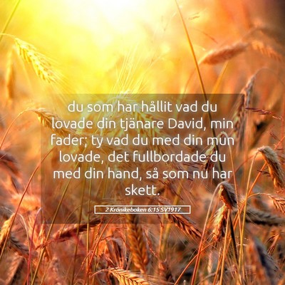 Picture 05 - 2 Krönikeboken 6:15 SV1917 - du som har hållit vad du lovade din tjänare - Bible Verse Picture