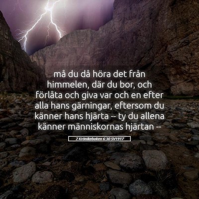 Picture 05 - 2 Krönikeboken 6:30 SV1917 - må du då höra det från himmelen, där du bor, - Bible Verse Picture
