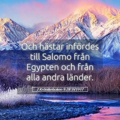 Picture 05 - 2 Krönikeboken 9:28 SV1917 - Och hästar infördes till Salomo från Egypten - Bible Verse Picture