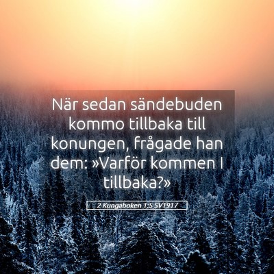 Picture 05 - 2 Kungaboken 1:5 SV1917 - När sedan sändebuden kommo tillbaka till - Bible Verse Picture