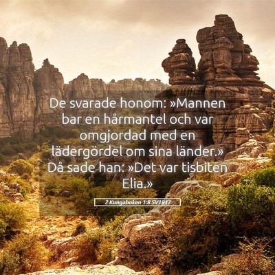 Picture 05 - 2 Kungaboken 1:8 SV1917 - De svarade honom: »Mannen bar en hårmantel och - Bible Verse Picture