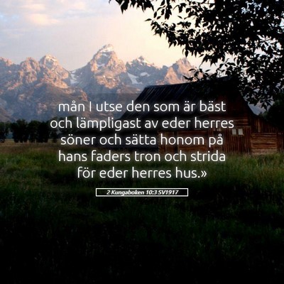 Picture 05 - 2 Kungaboken 10:3 SV1917 - mån I utse den som är bäst och lämpligast av - Bible Verse Picture