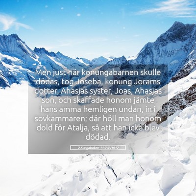Picture 05 - 2 Kungaboken 11:2 SV1917 - Men just när konungabarnen skulle dödas, tog - Bible Verse Picture