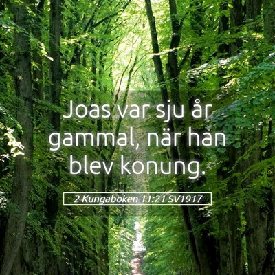 Picture 05 - 2 Kungaboken 11:21 SV1917 - Joas var sju år gammal, när han blev - Bible Verse Picture