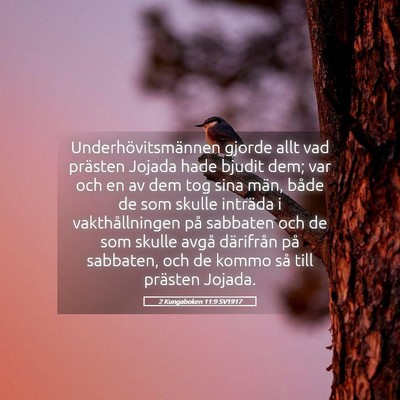 Picture 05 - 2 Kungaboken 11:9 SV1917 - Underhövitsmännen gjorde allt vad prästen - Bible Verse Picture