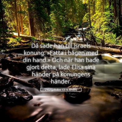 Picture 05 - 2 Kungaboken 13:16 SV1917 - Då sade han till Israels konung: »Fatta i - Bible Verse Picture