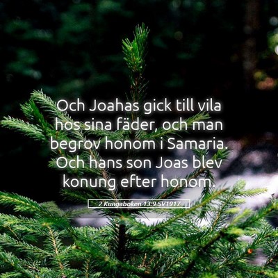 Picture 05 - 2 Kungaboken 13:9 SV1917 - Och Joahas gick till vila hos sina fäder, och - Bible Verse Picture